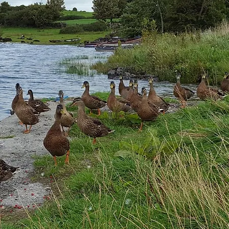 Leroy's Nocleg ze śniadaniem 3*