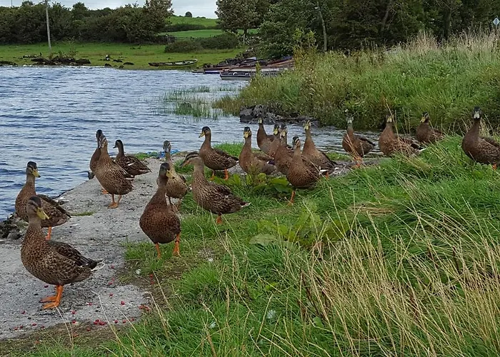 Leroy's 住宿加早餐酒店 3*